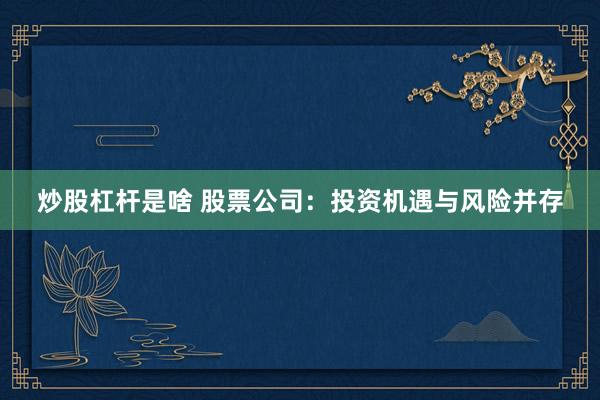 炒股杠杆是啥 股票公司：投资机遇与风险并存