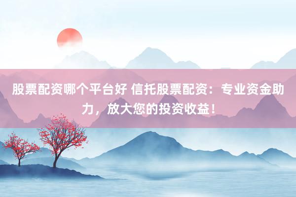股票配资哪个平台好 信托股票配资：专业资金助力，放大您的投资收益！