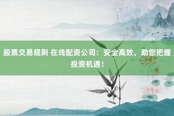 股票交易规则 在线配资公司：安全高效，助您把握投资机遇！