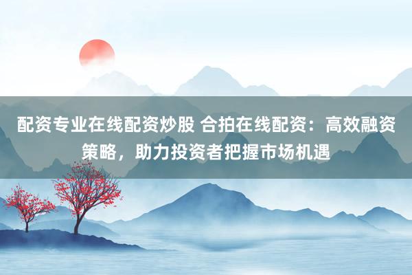 配资专业在线配资炒股 合拍在线配资:高效融资策略,助力投资者把握市场机遇