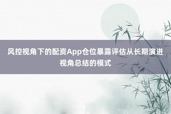 风控视角下的配资App仓位暴露评估从长期演进视角总结的模式