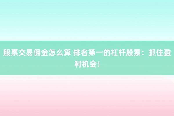 股票交易佣金怎么算 排名第一的杠杆股票：抓住盈利机会！