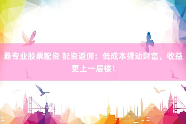 最专业股票配资 配资返佣：低成本撬动财富，收益更上一层楼！