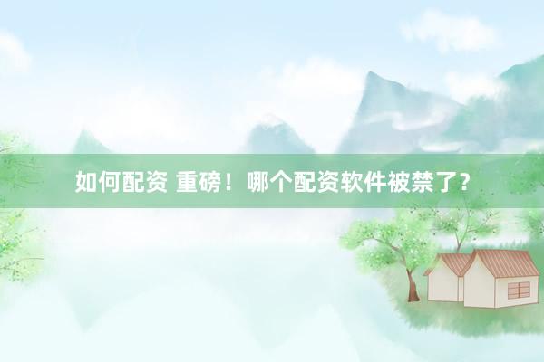 如何配资 重磅！哪个配资软件被禁了？